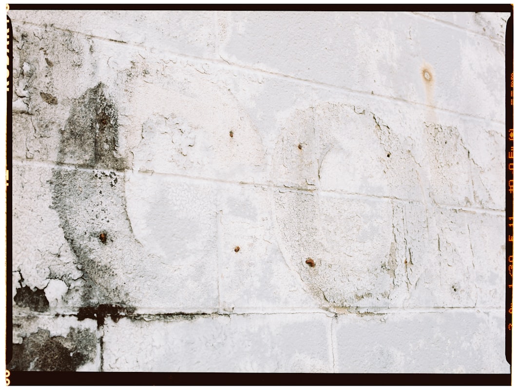 Mold Remediation service in Mount Vernon, WA