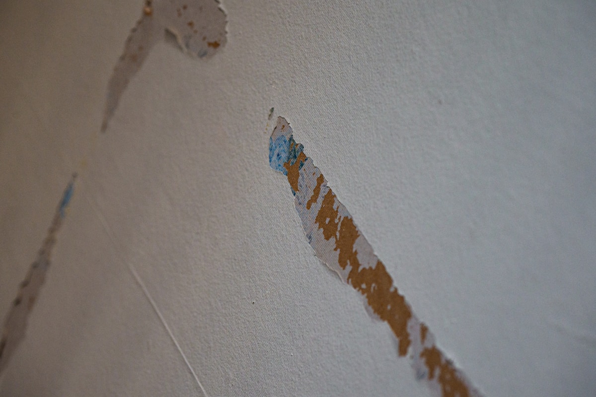 Sewage Cleanup service in Mount Vernon, WA